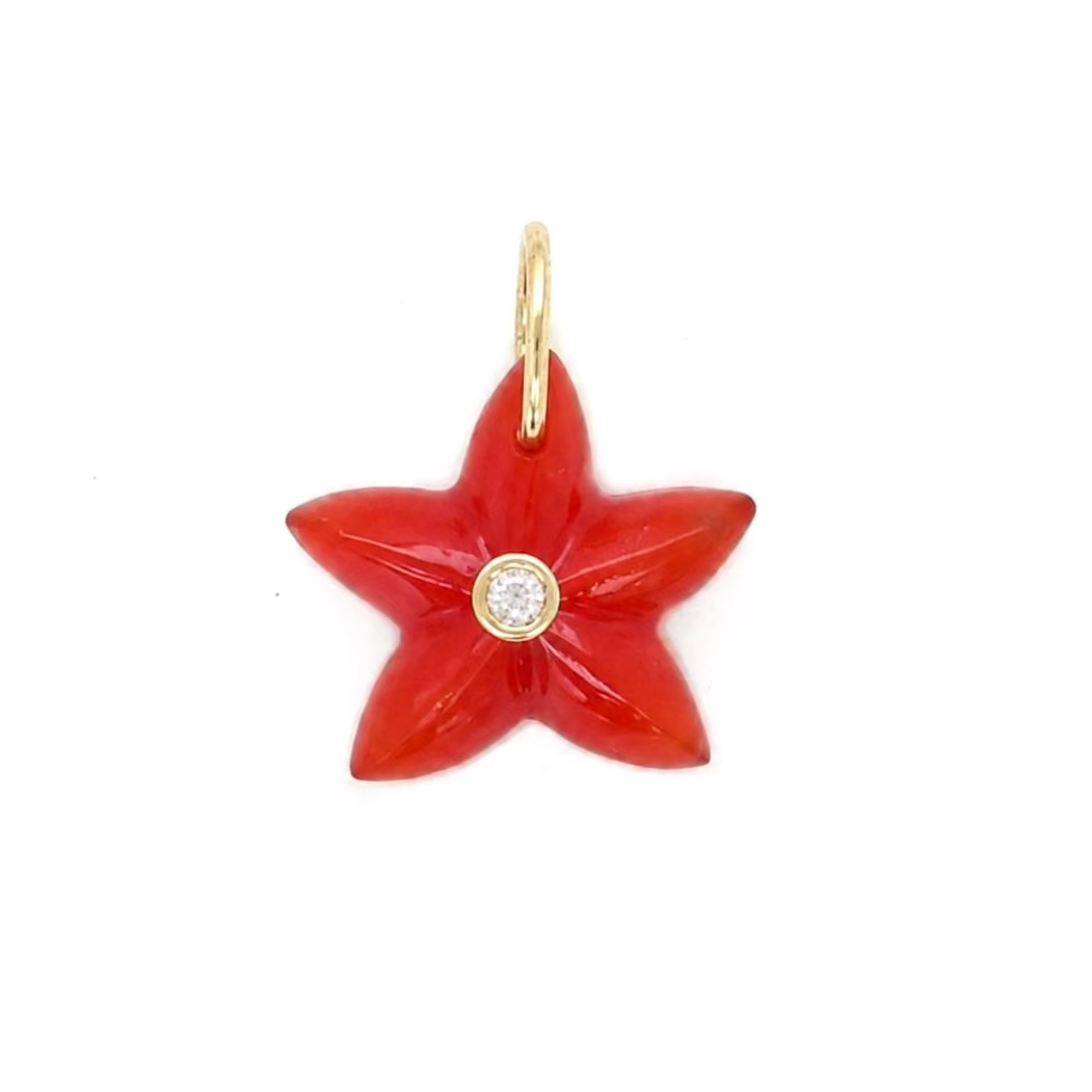 Cozumel Red Onyx Charm