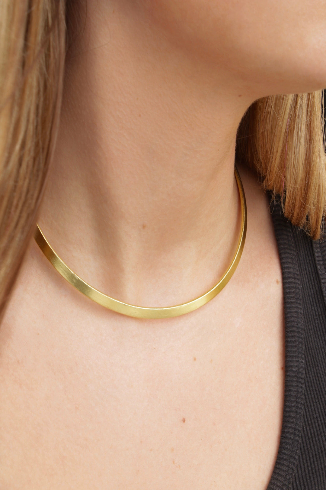 Pavia Choker